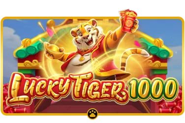 pk 100 Live Casino